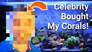I Sold Corals To A Famous Person! Red Sea Reefer Peninsula 500 41 Month Update.