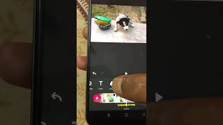 Add Music on Video Using Inshot App