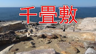 [南紀白浜2023]千畳敷・三段壁・白良浜