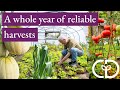 Polytunnel options for winter and summer vegetables