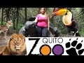 el zoológico de guayllabamba...quito ecuador