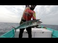 Monster Kingfish catching in deep sea