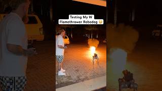 Testing My New W Flamethrower Robodog 😳