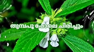 തുമ്പപൂ പോലെ ചിരിച്ചും || Thumbapoo Pole Chirichum Malayalam Poem With Lyrics