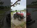 Eicher tractor working in mud #shorts #trending #tractor