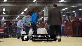 2015 NWSS Market Goat Show