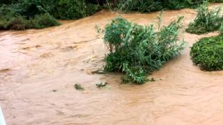 Water after 10 years in palar river,vellore