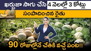 muskmelon farming | How to Do Muskmelon Farming | Complete Details in Telugu