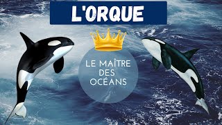 L'Orque - Le Maître des Océans