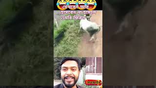 হাসির ভিডিও নিয়ে আসলাম দেখবেন আর হাসবেন না হাসলে এমবি ফিরত #funny #duet #automobile #motivation