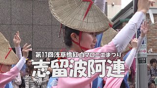 阿波踊り「志留波阿連」第十七回浅草橋紅白マロニエまつり Awa Odori, traditional Japanese performing art（2024.5.12）