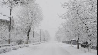 Снігопад у Раві-Руській 14.01.2017