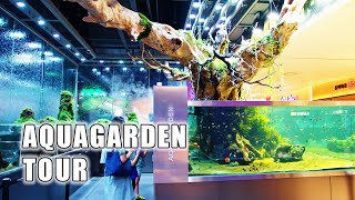 Korean Aquascape Cafe Tour