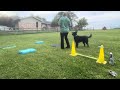 Sophia PITD around with rail and slo mo square entire session 