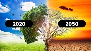 The Earth in 2050 - What Will Our Planet Look Like in 2050