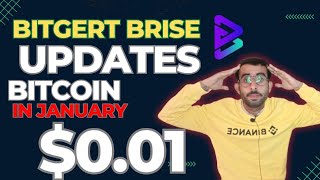 Bitgert Brise Coin $0.01 - Bitgert Brise Coin News Today - Bitcoin in January 2025