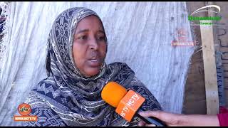 SOMALILAND  Beeralay Ka Walaacsan Halista Sunta Cayayaanka