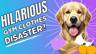 Golden Retriever’s Fashion Fail: Hilarious Gym Clothes Disaster!