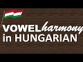 Vowel Harmony in Hungarian | Hungarian for Beginners