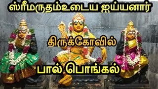 சோழன்காடு ஸ்ரீமருதம்உடைய ஐய்யனார் பால் பொங்கல்  திருவிழா