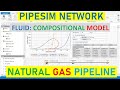 Pipesim Network 2: Natural Gas Pipeline, Part-1 (Compositional Fluid Model)