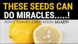 Lemon Seeds Benefits