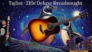 Taylor 210e Deluxe Dreadnought (Guitar Review!!!)