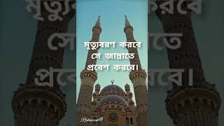 Islamic short video| Islamic story|Islamic starts|Muslim prayer|Ab Rahman l 2022#islamic #quran