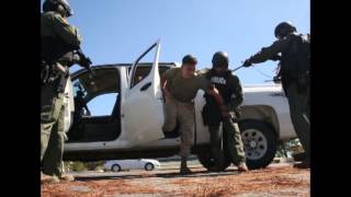 Special Reaction Team