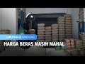 Harga Beras Masih Mahal | Liputan 6 Bandung