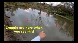 When you see THIS on top of the water, the CRAPPIE are close by! Creek Crappie Fishing!