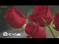 Watch out for romance scams this Valentine's Day, FBI says