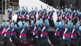 春フェス２０１６　静岡大学よさこいサークルお茶ノ子祭々　夢光海