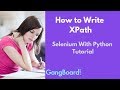 How to Write Xpath | Selenium With Python Tutorial For Beginners