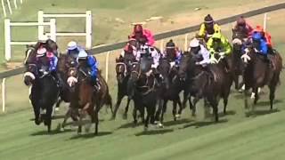 2015.10.31 Bloodstock SA Ready To Run Cup (RSA) - Lineker