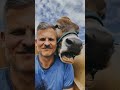 americano viralizou na internet após mostrar o amor que existe entre ele e seus animais♥️ shorts