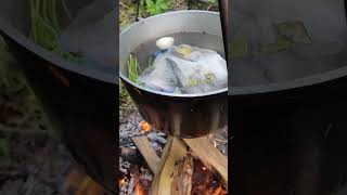 Уха...ммм... #video #уха #еда #food #рыбалка #cooking #fire #nature