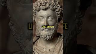 Marcus Aurelius's Surprising Reflection on Virtue #stoicism