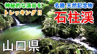 山口県 石柱渓（名勝・天然記念物） 神秘的な渓谷トレッキング！ / Sekichu-kei Valley Trekking ( Yamaguchi, Japan )【癒しの水辺】