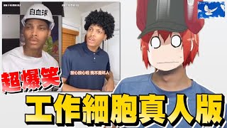 白血球現實中竟然長這樣...工作細胞真人版點評 | 蒼藍鴿評評理EP28