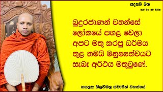 ධර්මය තුළ තමයි මනුෂ්‍යත්වයට සැබෑ අර්ථය මතුවුණේ.Ven Hasalaka Seelawimala Thero