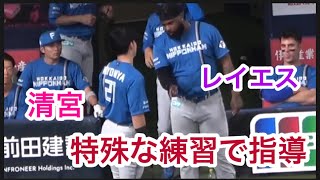 【陽気なレイエス】清宮に特殊な練習でバッティング指導