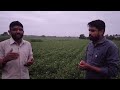 farmer review on spray service by upl nurture.farm spray machine