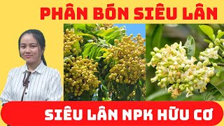 PHÂN BÓN LÁ NPK SIÊU LÂN HỮU CƠ ĐẠT NĂNG SUẤT CAO - PHÂN BÓN QUỐC GIA