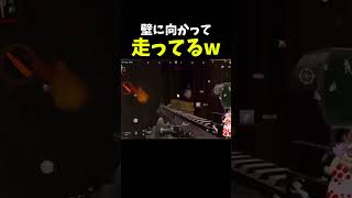 【ArenaBreakout】壁に体当たりしてる人がいたwやっちゃったw【アリーナブレイクアウト】 #shosts