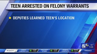 Blount Co. deputies arrest juvenile on four felony warrants two weeks after he removed ankle monitor