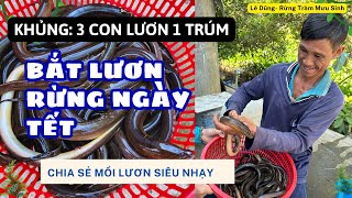 LƯƠN RỪNG TRÀM bắt lươn ngày Tết - Chia sẻ công thức mồi bắt lươn SIÊU NHẠY- LÊ DŨNG RTMS