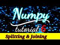 #6 Splitting and Joining in Numpy | Python NumPy Tutorial | Part 6 | Python Numpy Tutorial