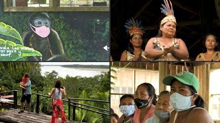 Comunidades indígenas en la Amazonia colombiana se preparan para el regreso de los turistas | AFP