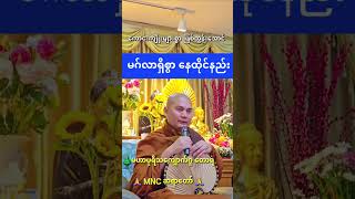 ကောင်းကျိုးများစွာ ဖြစ်ထွန်းအောင် မဂ်လာရှိစွာ  နေထိုင်နည်း  🌲 MNC ဆရာတော် 🙏 11. 1. 2025